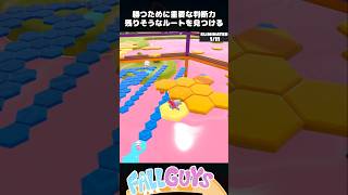 止まるなキケンで勝つために重要な判断力【FallGuys/フォールガイズ】