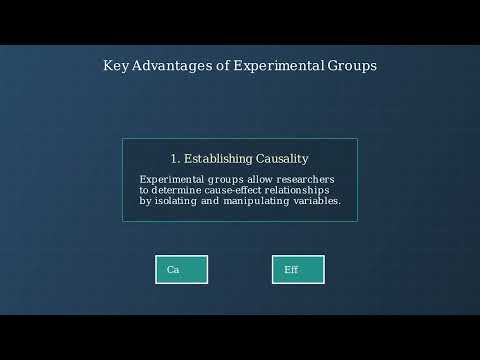 Experimental Group – Definition, Importance, Examples - Video
