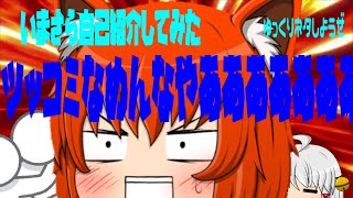 かなりいまさらながら自己紹介してみた動画、普通の東方とはちょっと違うキャラクター紹介ーゆっくりネタしようぜー茶番