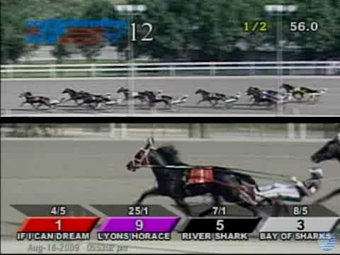 2009 Confederation Cup - The Harness Edge