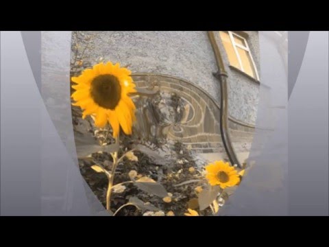 Four Seasons Synthesized - Summer Part 1