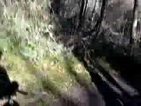 Cycle from Willows Beach to UVic