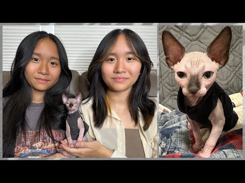 Janet and Kate adopted a hairless Cat!