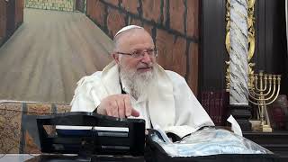 השלום הפלאי של היקום יכול להיות גם פה | הרב שמואל אליהו | הלכה יומית | כ"ט ניסן תשפ"ד (הרב שמואל אליהו) - התמונה מוצגת ישירות מתוך אתר האינטרנט יוטיוב. זכויות היוצרים בתמונה שייכות ליוצרה. קישור קרדיט למקור התוכן נמצא בתוך דף הסרטון