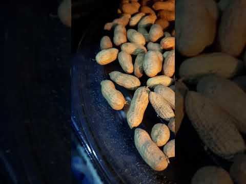 how to roast peanuts 🥜 in microwave in just 6 minutes #shorts #views #viral #tasty #everything