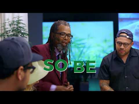 COOKING ON HIGH – Meet the Expert: Ngaio Bealum