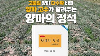 고품질 양파 다수확 비결의 모든것! 양파의정석