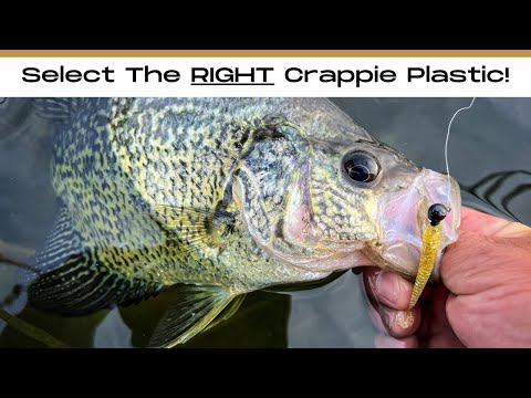 The Top 3 Plastics You Need To Catch Crappies In ANY Condition!