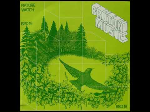 Brian Bennett - the sea