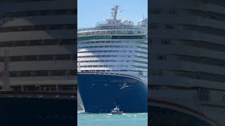 Carnival Celebration 🛳️ #share #like #subscribe #comment #cruise #vacation #shortvideo #shortsvideo