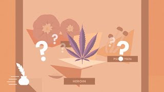 Click to play: Should DEA Remove Cannabis from Schedule I? [POLICYbrief]