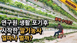 조회수130만 딸기농부, 여전히 행복할까? (최신판) 32살, 딸기농부 인터뷰 [딸기농사]