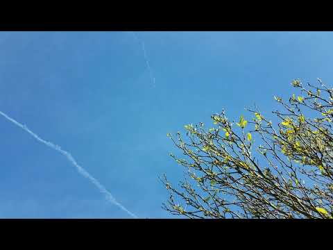 Rocket launch in meadows of dan!