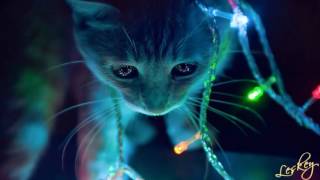 The Glitz - Steady Nerves (Original Mix)