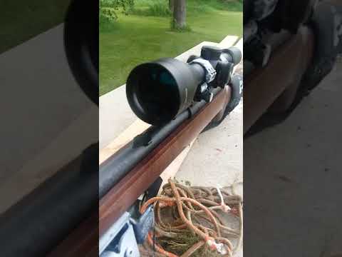 Savage 93 Rifle \u0026 Scope review