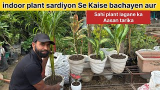 Sardiyon mein kaun se parmanent plan lagaen aur soil Sahi tarike Se Kaise banaen