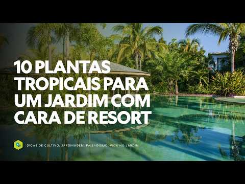 10 Tropical Plants for a Resort-Style Garden