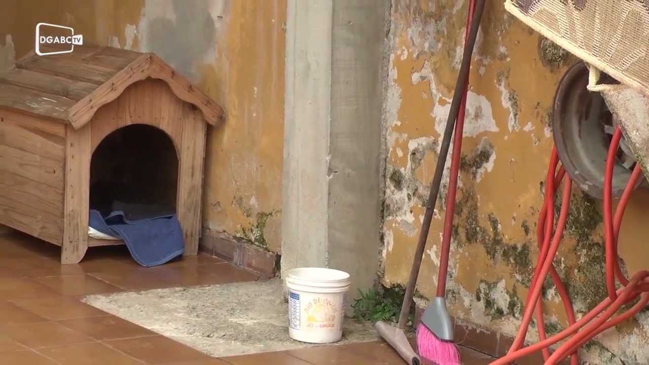 Enchentes: relatos marcantes de quem tem os sonhos levados pelas águas