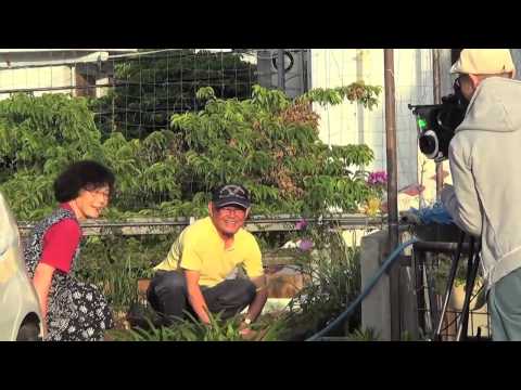 憑かれた大学隠棲 再稼働リプレイスに一俵 Lm700j Twilog