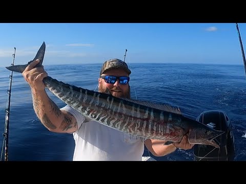 RAW Wahoo POKE BOWLS and offshore fishing!  Catch, Clean, Cook!