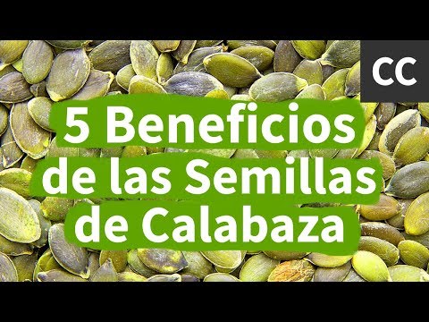 5 Beneficios de las Semillas de Calabaza | Ciencia de la Comida