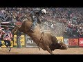 Bulls That Have WRECKED The Most Riders: Top 3 Buckoff Streaks Right Now | 2019