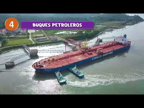 Tipos de Buques en el Transporte Marítimo de Carga