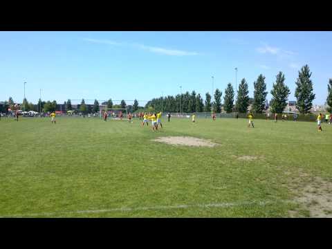 Snollebolleke met Fortissimo MC1