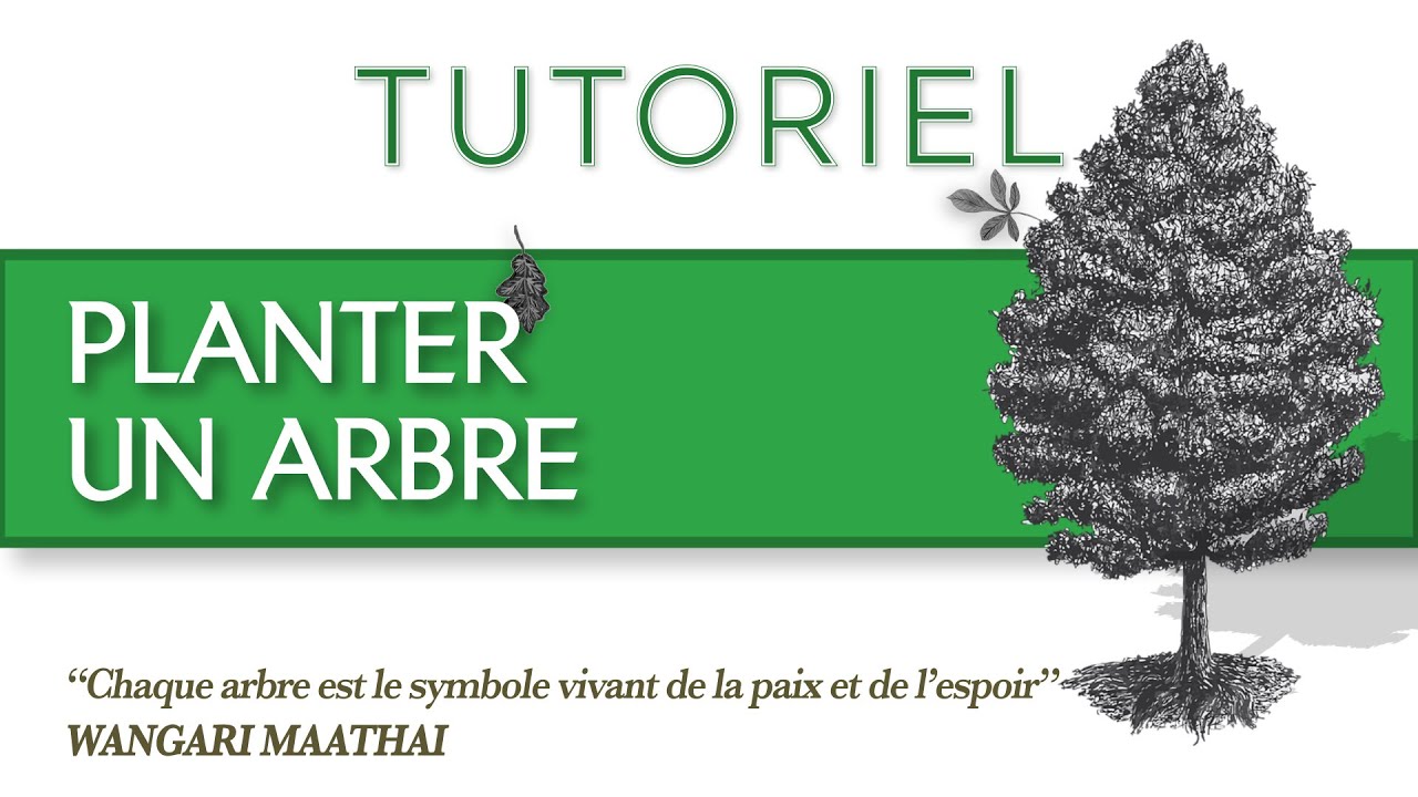 Tuto - Planter un arbre avec Philippe, jardinier à la mairie de Toulouse
