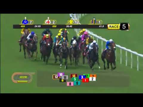 Singapore 20170917 Race 5 - FLAK JACKET can win again in 1200M turf