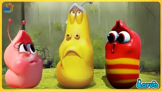 Download lagu 1 HOUR LARVA 2020 - LARVA RANGERS | Funny Cartoons | LARVA Cartoons | LARVA Comics | Larva  mp3 Download lagu 1 HOUR LARVA 2020 - LARVA RANGERS | Funny Cartoons | LARVA Cartoons | LARVA Comics | Larva  mp3