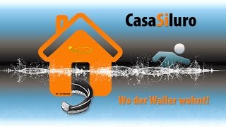 preview picture of video 'Wallerfischen bei Hochwasser - CasaSiluro - wo der Waller wohnt! Il Grande Fiume Po San Benedetto'