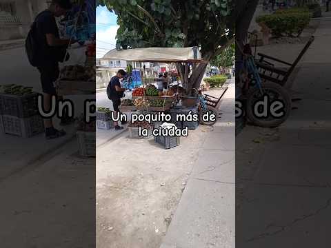 OTRO PEDACITO DE la carretera de Gibara - Holguín 🇨🇺