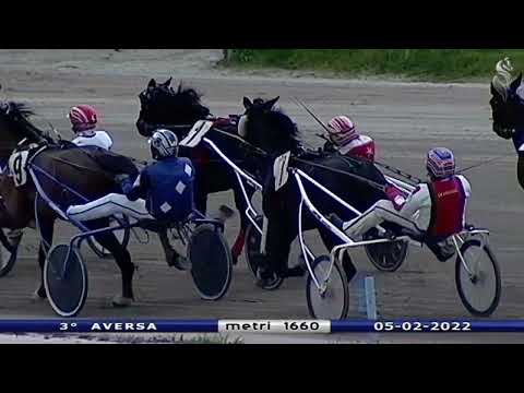 Aversa trotto 5 Febbraio 2022 - 3° Corsa