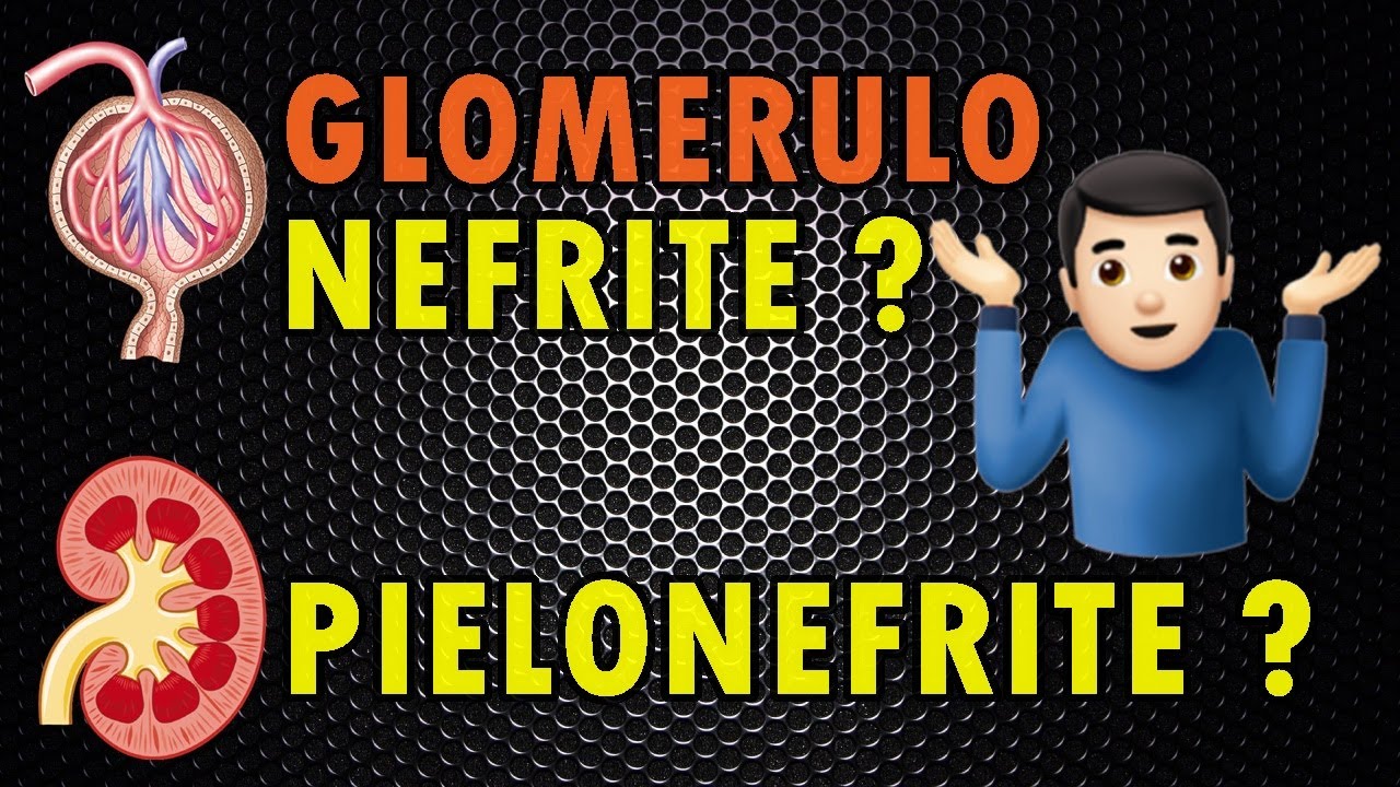 Nefrite e Pielonefrite são DIFERENTES ?
