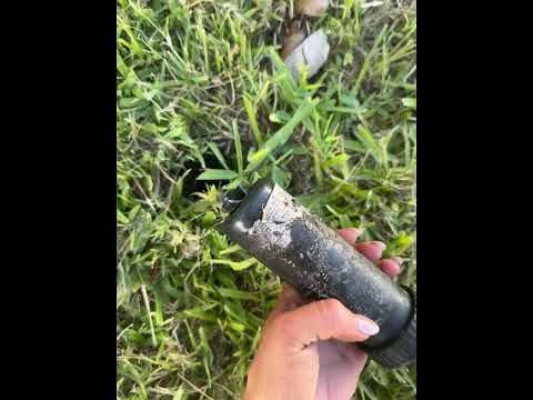 Lawn Love - Thieves!! - Image 12