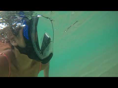 Videos del Sandals Grenada 5★ en Bamboo, GranadaVer MásVerPrecios17CerrarConsulta por Whatsapp 🇦🇷BookingTripadvisorExpediaAgodaTravelocityOrbitzPricelineTripSkyscannerDespegarKayakHotelesDestiniaTrivagoLastminuteTuiWotif