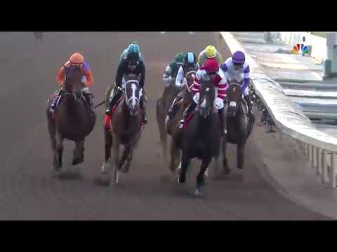 2016 Breeders' Cup Distaff