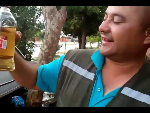 Tomando Pisco A Lo Macho Wn - 4K 60FPS