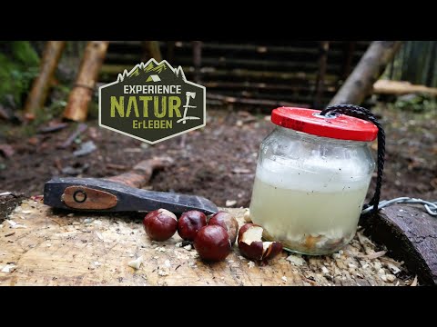 Kastanienseife,  Kastanienspülmittel, Kastanienwaschmittel, Prepperseife, DIY Seife, Bushcraftseife