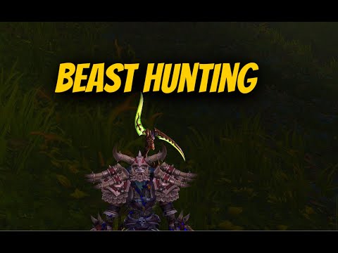 8.3 BM Hunter PvP | Hunting Things