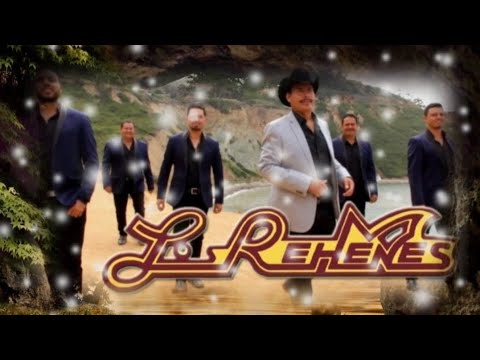 CUANDO SE AMA SE APRENDE A REÍR A LLORAR SE APRENDE A TODO - LOS REHENES (serge djbcmx)