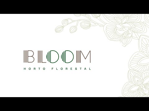 Vídeo Bloom