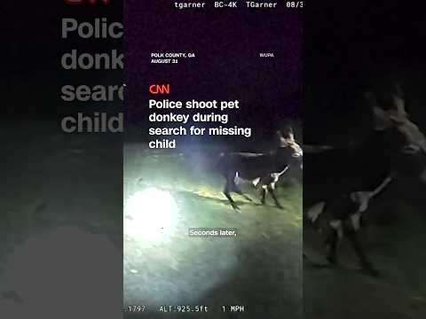 Police shoot pet donkey during search for missing child