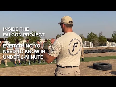 Welcome to the Falcon Project!