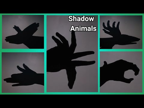 How to make amazing Shadow Animals with your Hands - best and easy hand puppets - craftUP