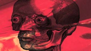 Meat Beat Manifesto - Mindstream (Psychedelically Speaking)