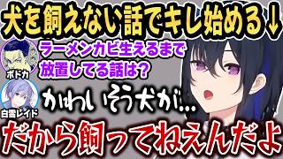 犬飼えない話から急にキレ出すのせさんｗ【一ノ瀬うるは/白雪レイド/ボドカ/ぶいすぽ/切り抜き】