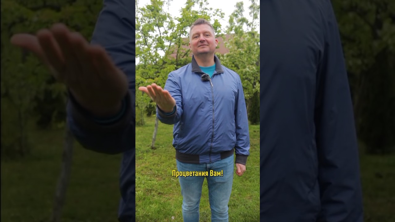 Готовим «убойное» средство от тли! Стоит копейки, а применяли ещё наши бабушки!