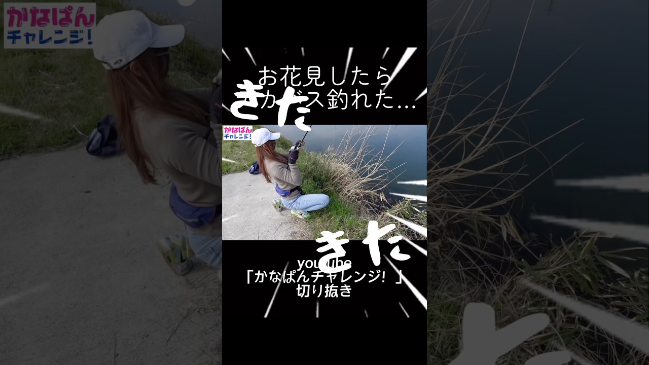 お花見したらデカバス釣れた・・・ #釣り #fishing #釣りガール #バス釣り #钓鱼
